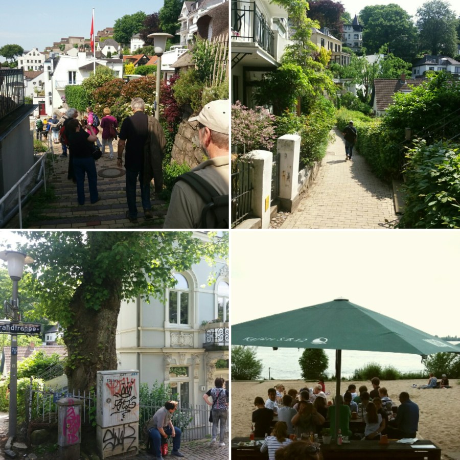 IMG_20160529_082259.jpg image